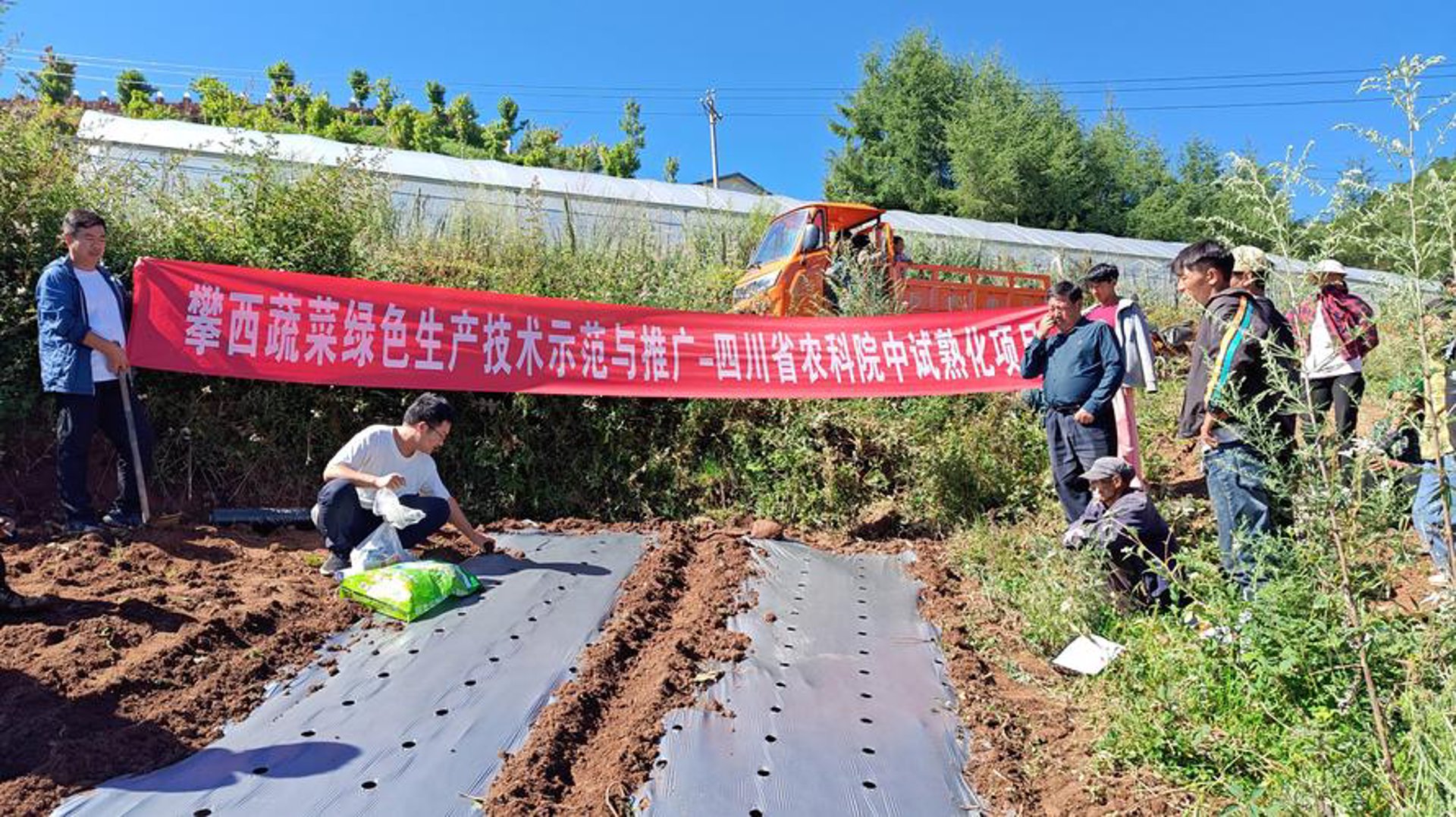 攀西雏凤农业