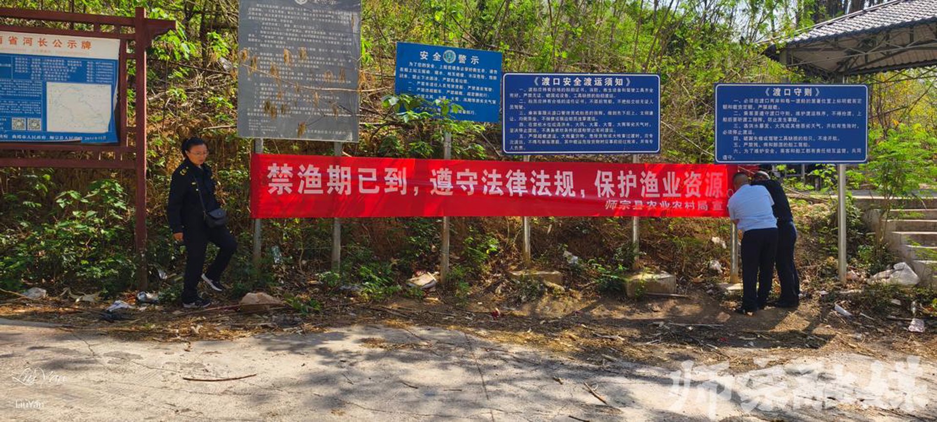 攀西雏凤农业